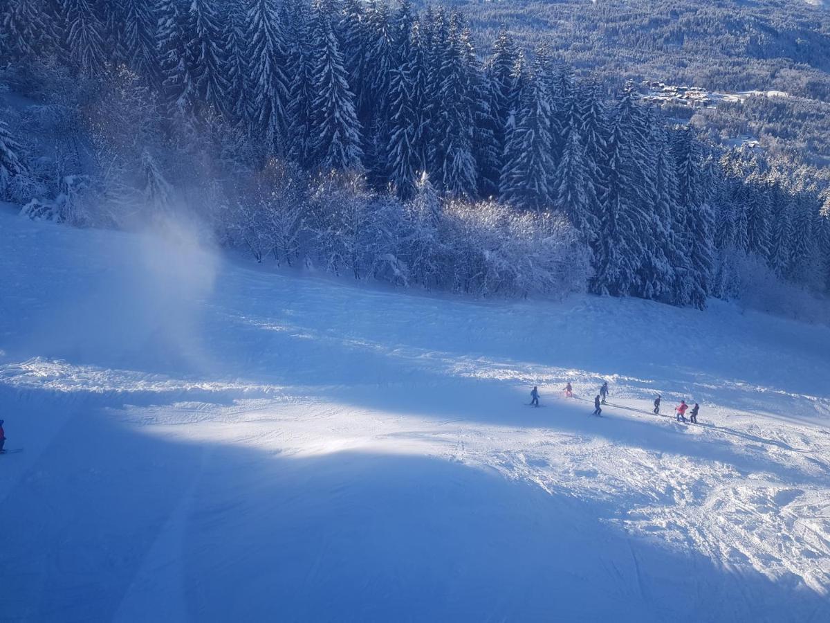 Les Frahans Samoëns Exteriér fotografie
